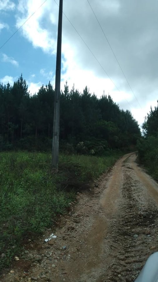 Fazenda, 2 hectares - Foto 2