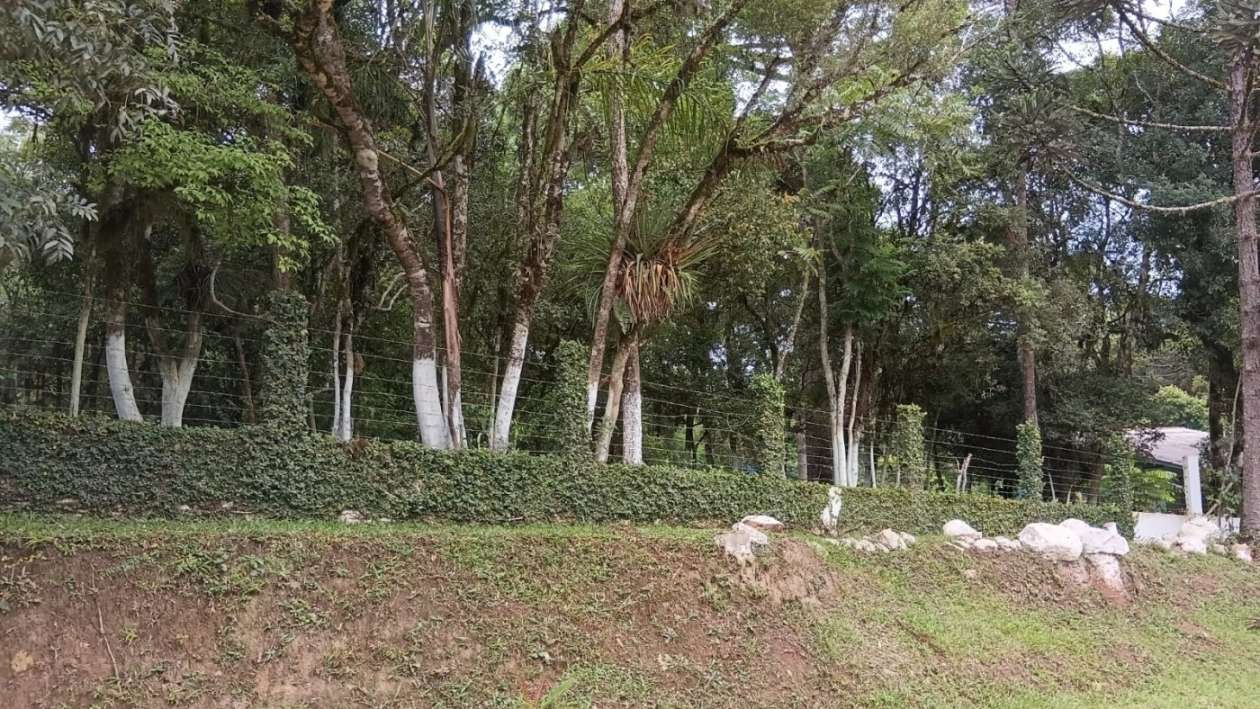 Chácara, 2 quartos, 3600 m² - Foto 8