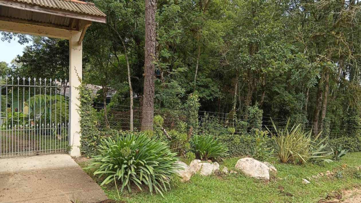 Chácara, 2 quartos, 3600 m² - Foto 2