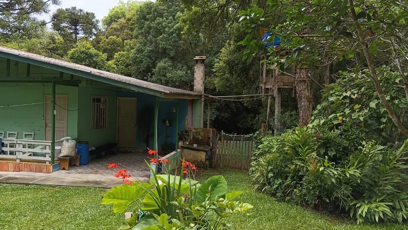 Chácara, 2 quartos, 3600 m² - Foto 6