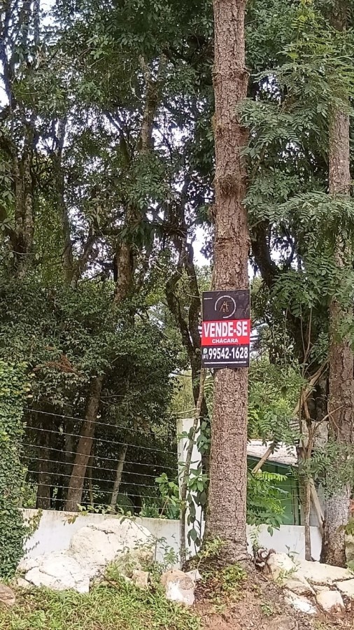 Chácara, 2 quartos, 3600 m² - Foto 16