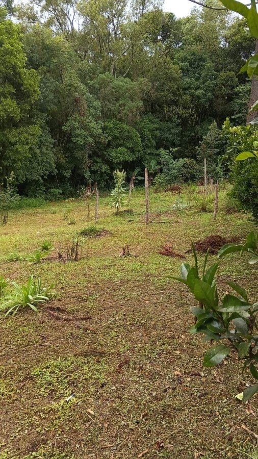 Chácara, 2 quartos, 3600 m² - Foto 3