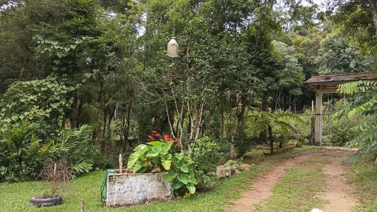 Chácara, 2 quartos, 3600 m² - Foto 20