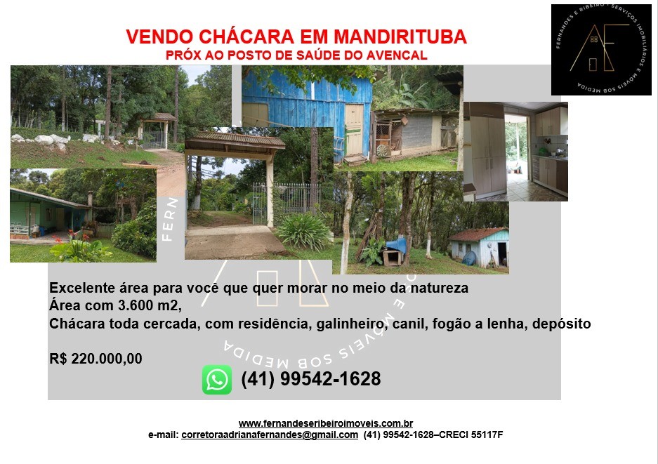 Chácara, 2 quartos, 3600 m² - Foto 7