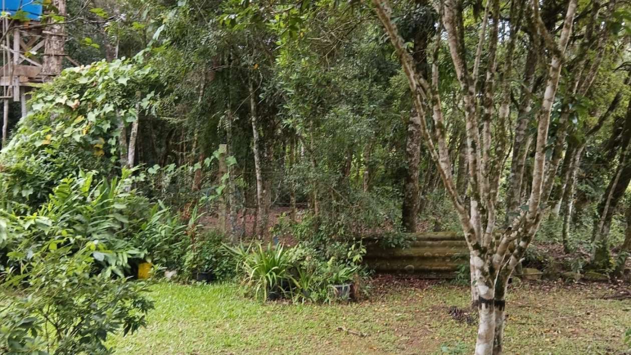 Chácara, 2 quartos, 3600 m² - Foto 25