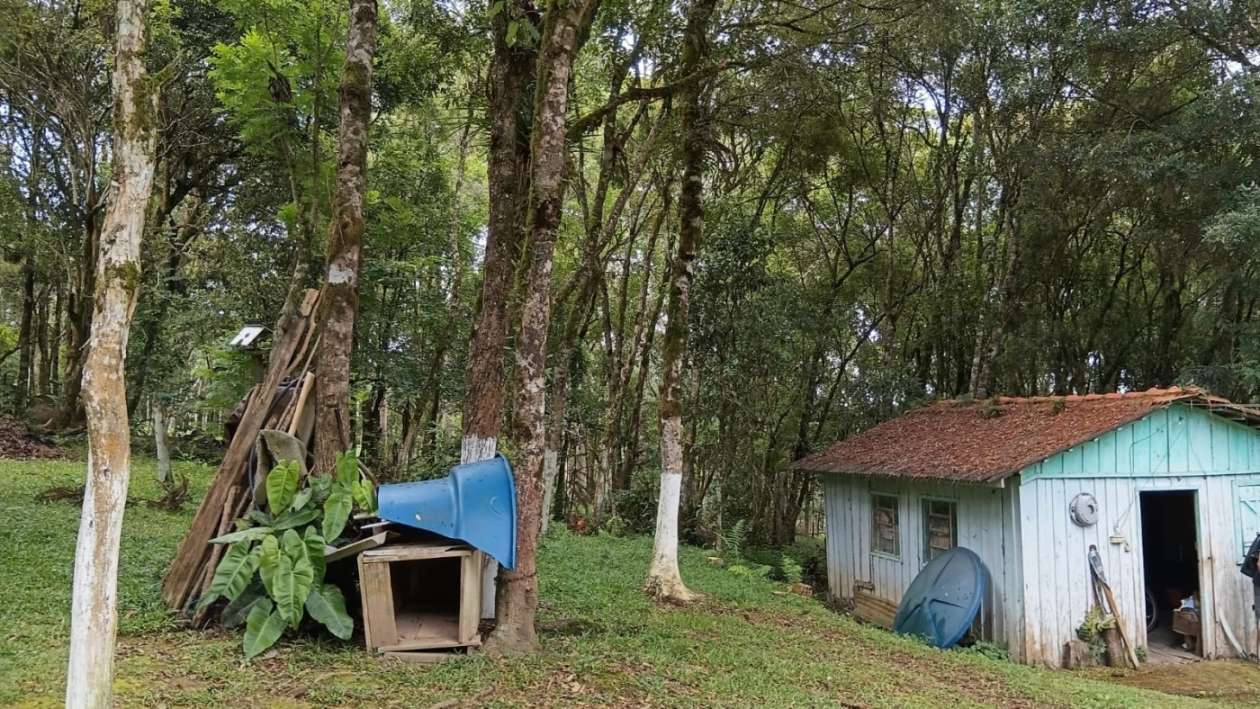 Chácara, 2 quartos, 3600 m² - Foto 26
