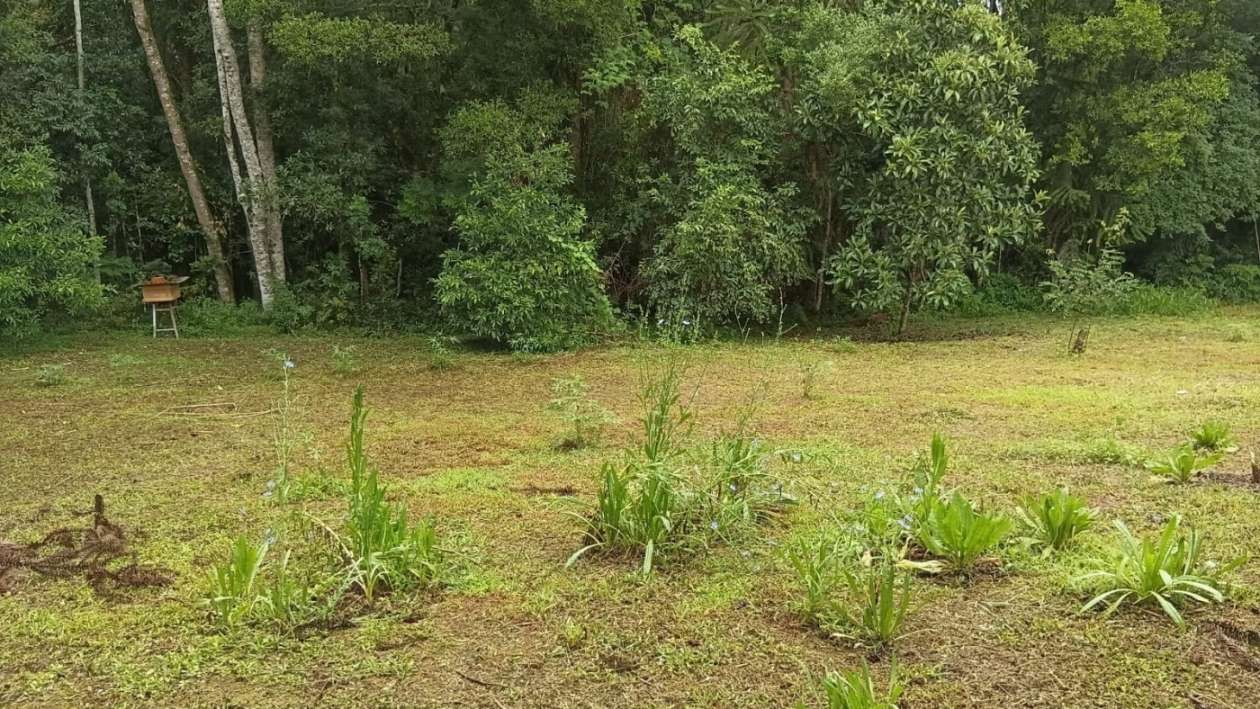Chácara, 2 quartos, 3600 m² - Foto 27
