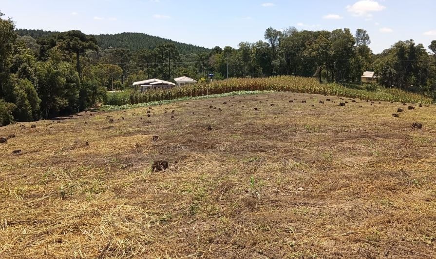 Fazenda, 7767 m² - Foto 1