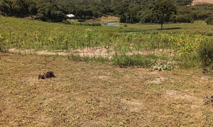 Fazenda, 7767 m² - Foto 2