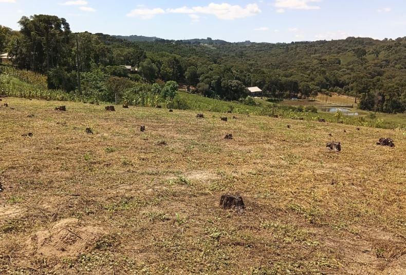 Fazenda, 7767 m² - Foto 3