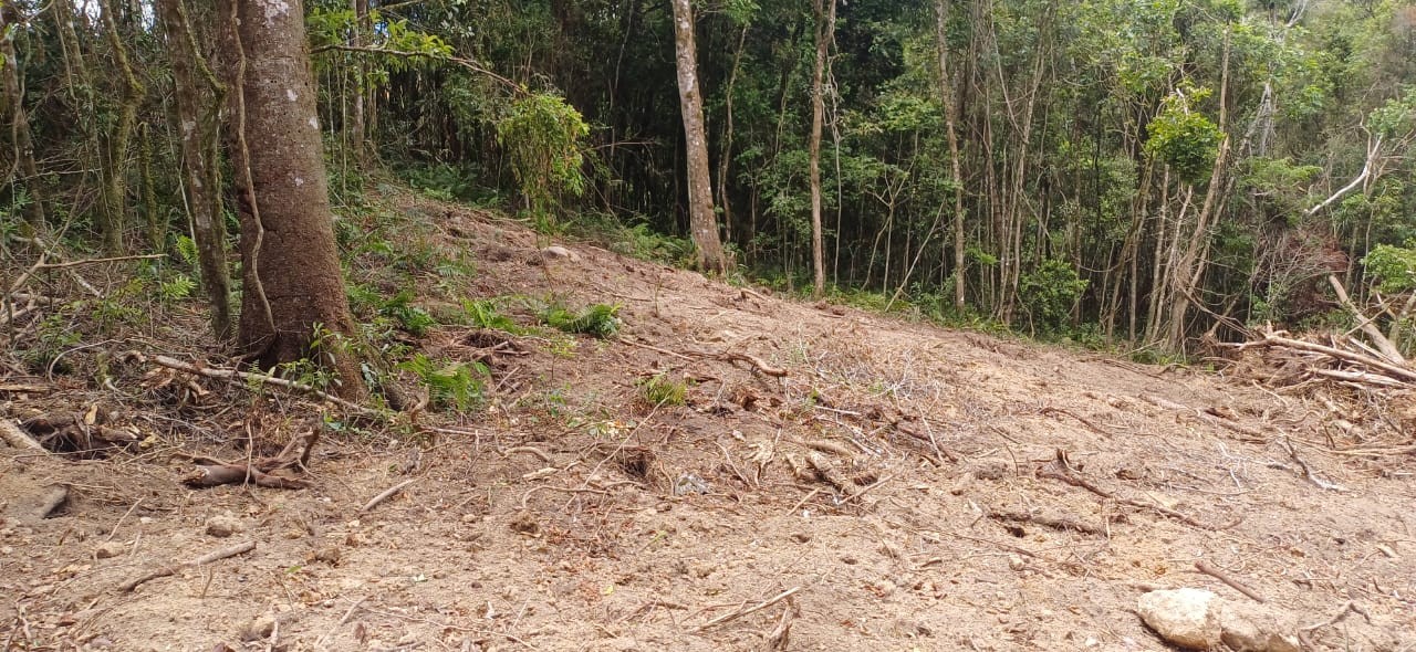 Chácara, 6000 m² - Foto 5