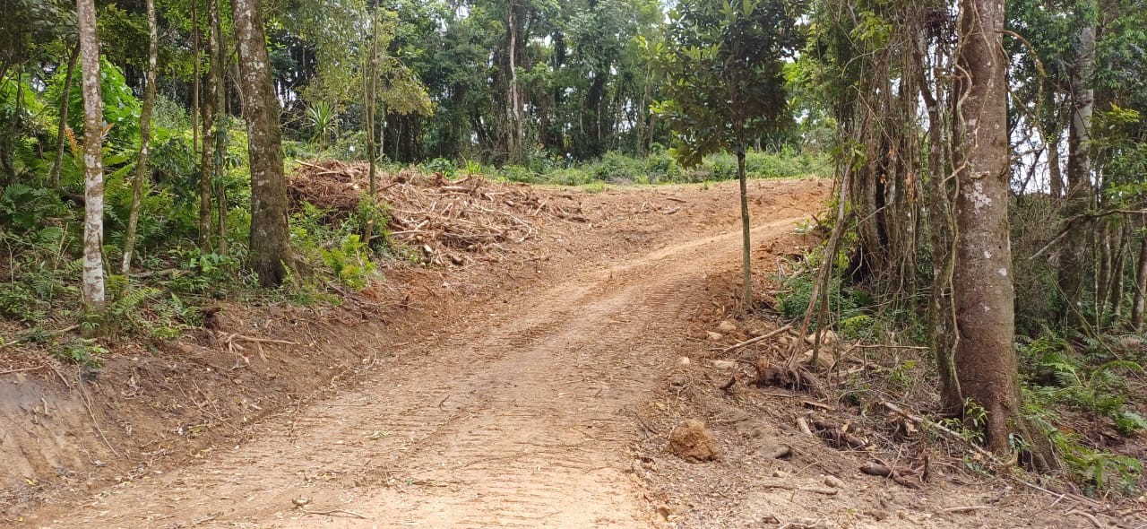Chácara, 6000 m² - Foto 9