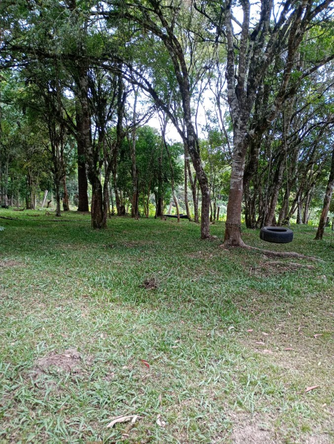 Fazenda, 1760 m² - Foto 5