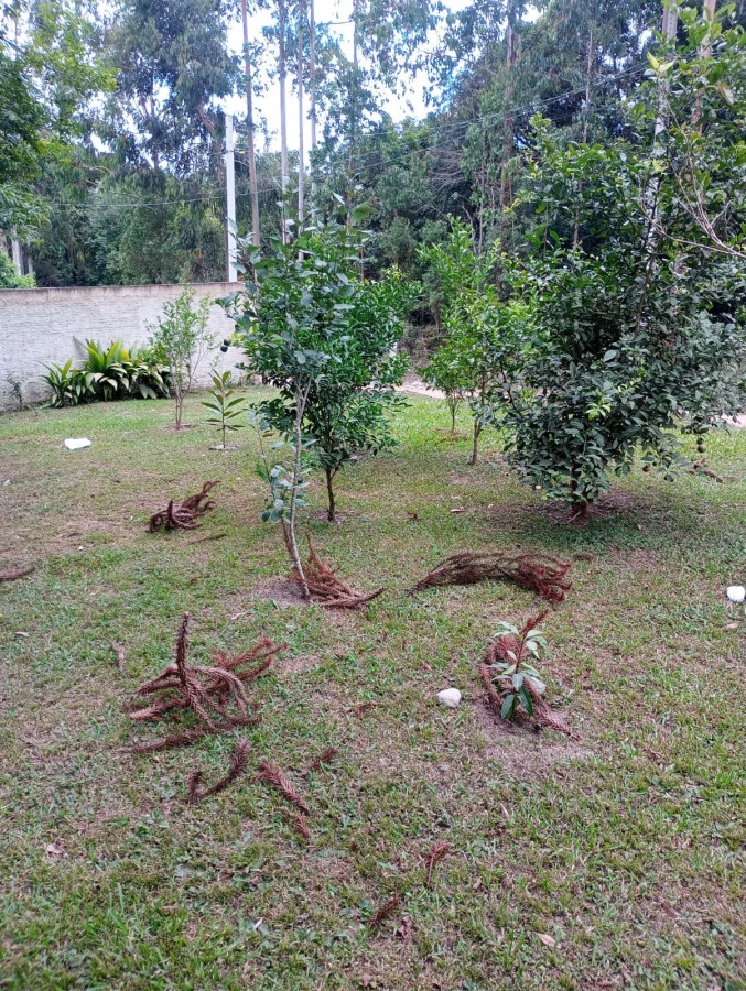 Fazenda, 1760 m² - Foto 9