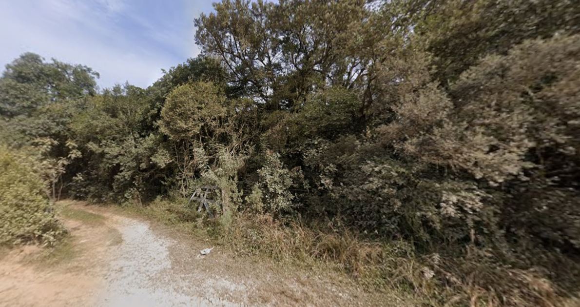 Terreno, 9 hectares - Foto 1