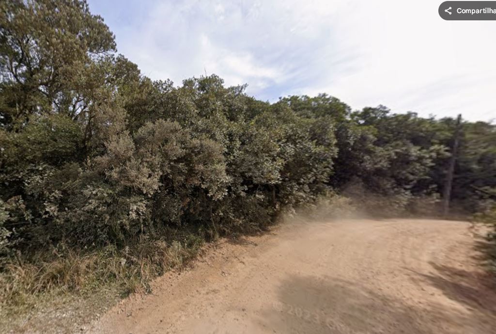Terreno, 9 hectares - Foto 8