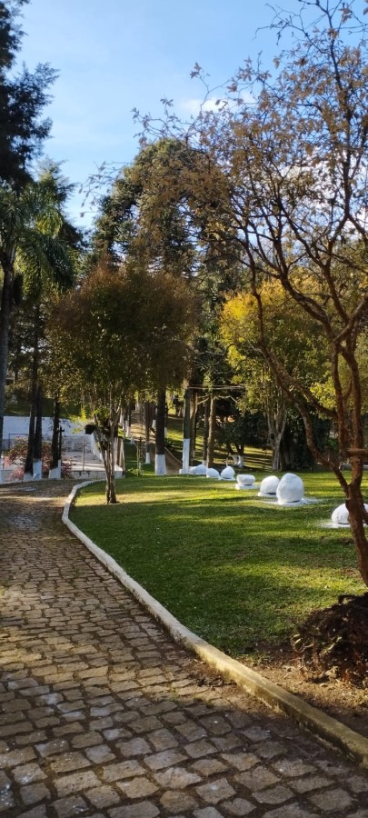 Fazenda, 12 hectares - Foto 11