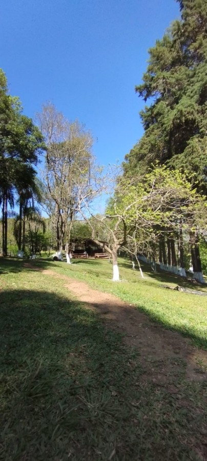 Fazenda, 12 hectares - Foto 16