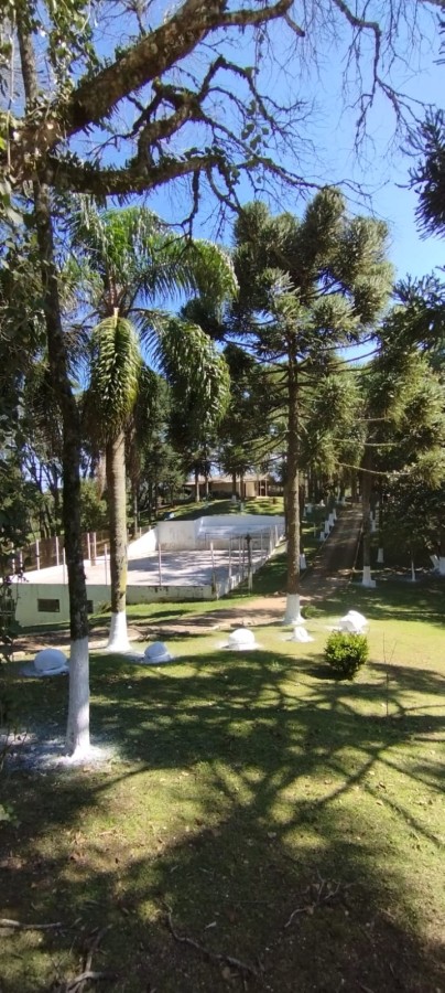 Fazenda, 12 hectares - Foto 12