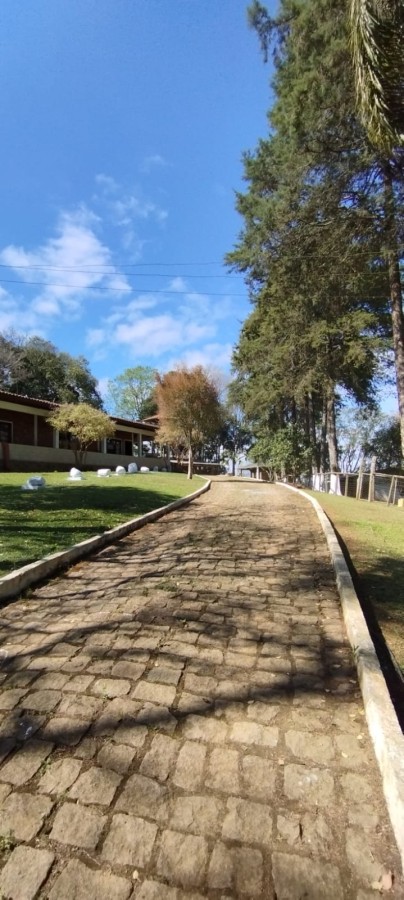 Fazenda, 12 hectares - Foto 13