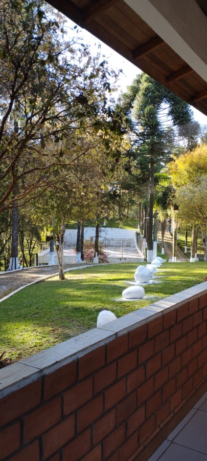 Fazenda, 12 hectares - Foto 14