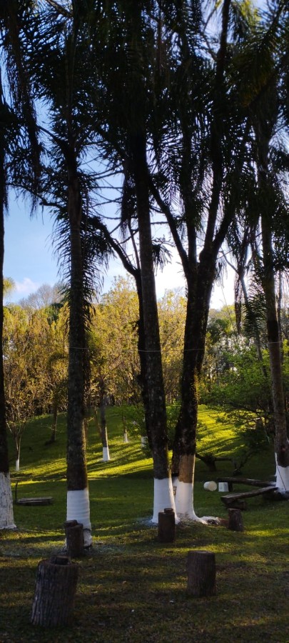 Fazenda, 12 hectares - Foto 20