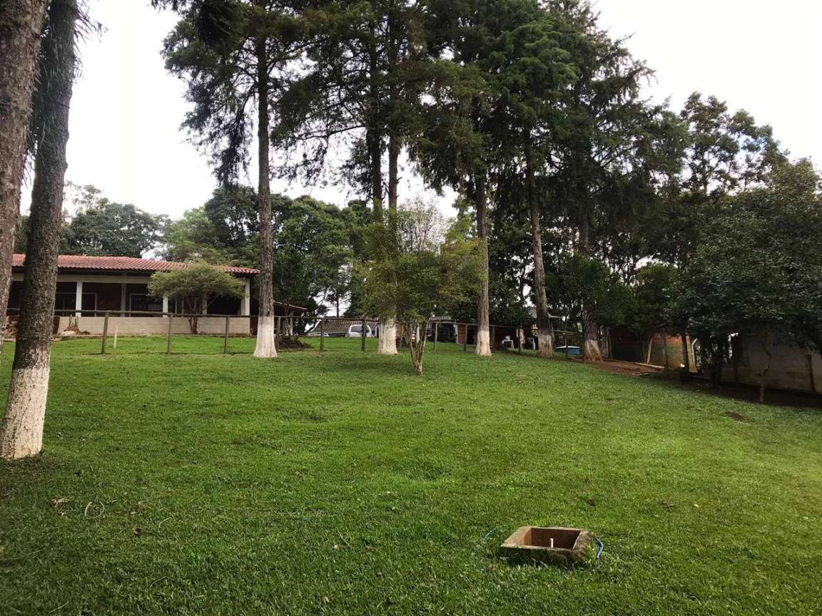 Fazenda, 12 hectares - Foto 8