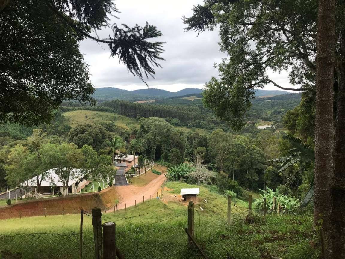 Fazenda, 12 hectares - Foto 5