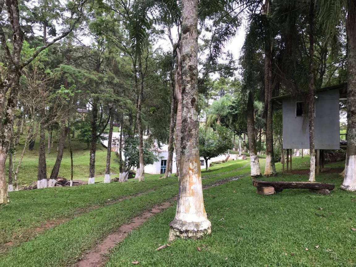 Fazenda, 12 hectares - Foto 10