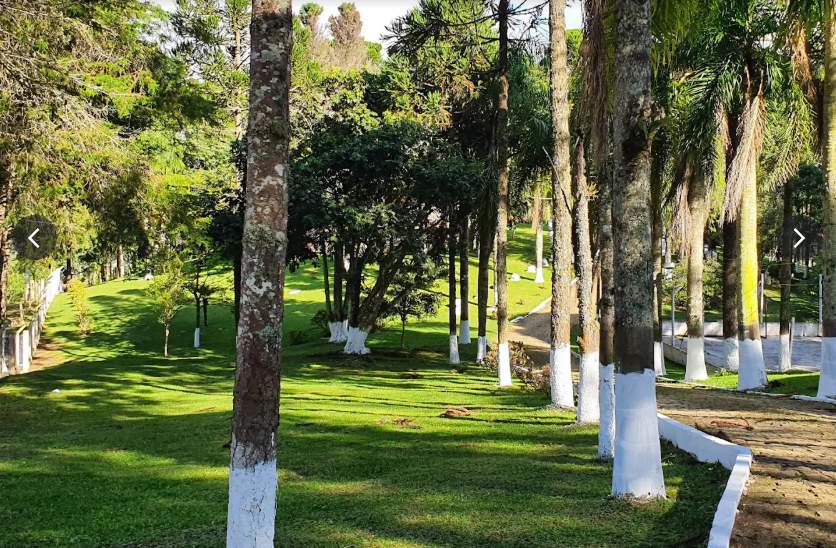 Fazenda, 12 hectares - Foto 4