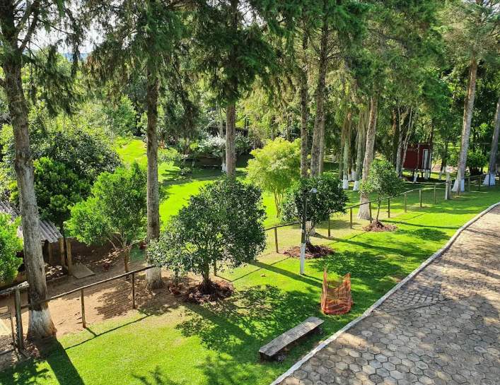 Fazenda, 12 hectares - Foto 6