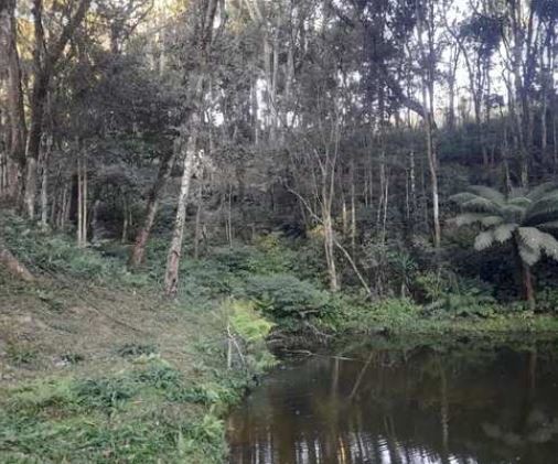 Fazenda, 10 hectares - Foto 1