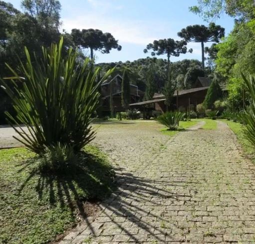 Fazenda, 4800 m² - Foto 4