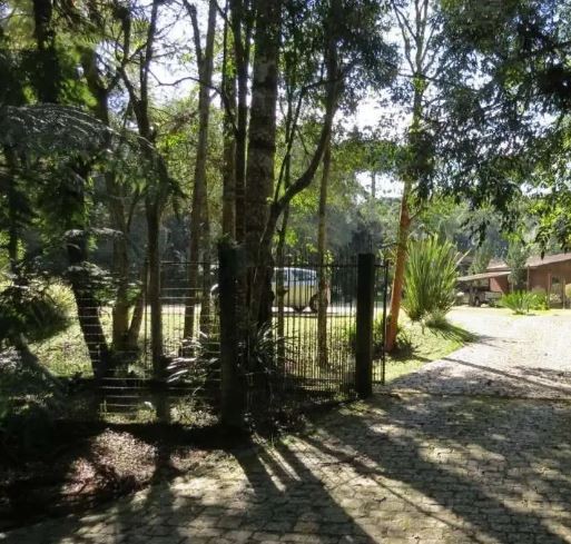 Fazenda, 4800 m² - Foto 3