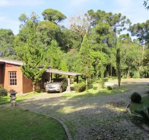 Fazenda, 4800 m² - Foto 7
