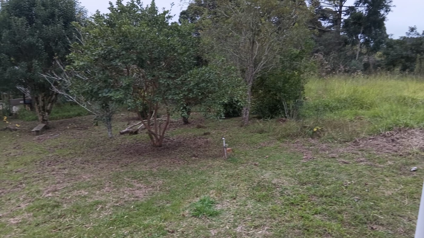 Fazenda, 6000 m² - Foto 9