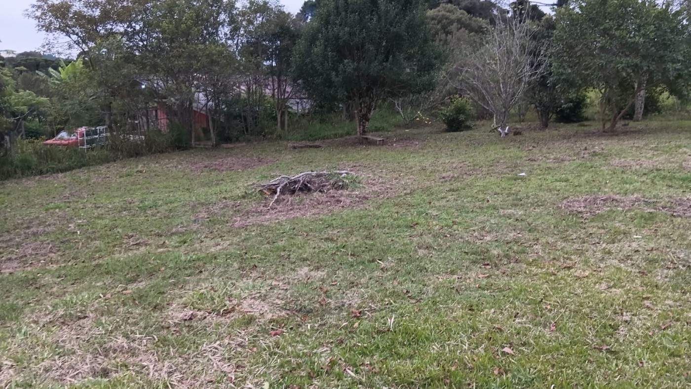Fazenda, 6000 m² - Foto 4