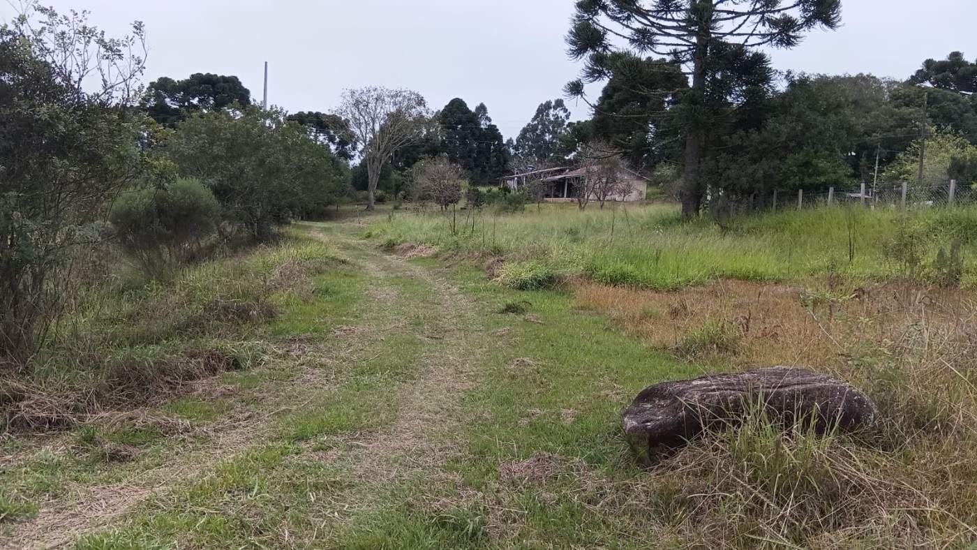Fazenda, 6000 m² - Foto 6
