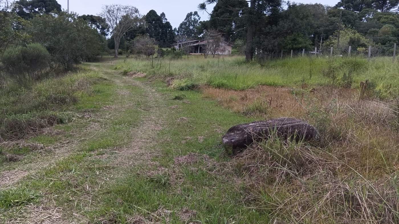 Fazenda, 6000 m² - Foto 5