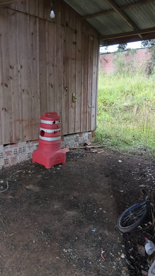 Fazenda, 6000 m² - Foto 19