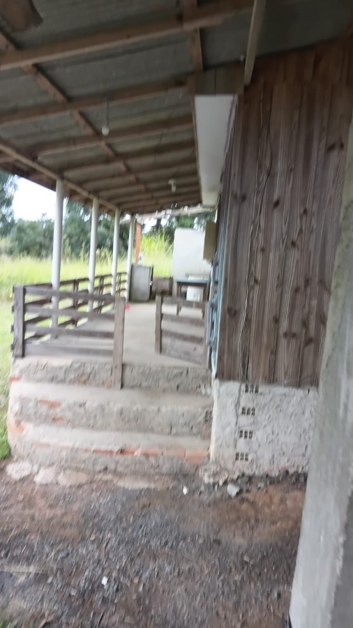 Fazenda, 6000 m² - Foto 15