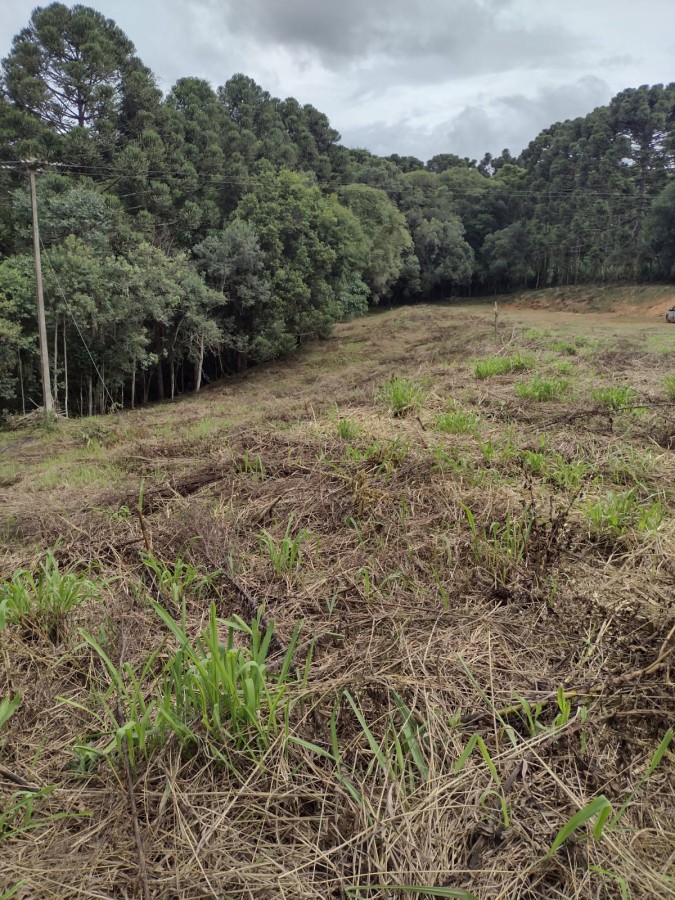 Fazenda, 6711 m² - Foto 2