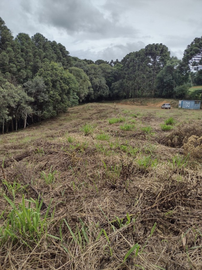 Fazenda, 6711 m² - Foto 3