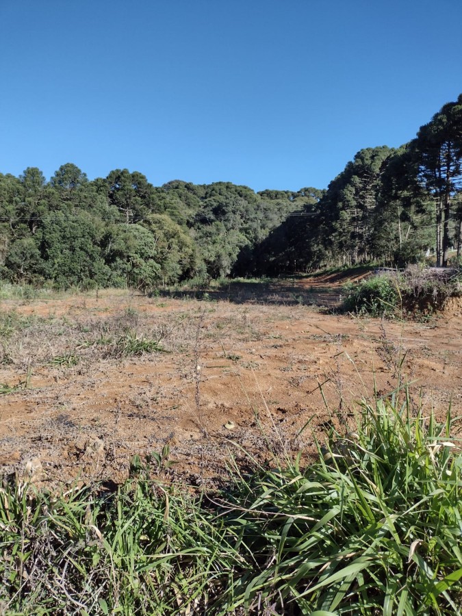 Fazenda, 6711 m² - Foto 5