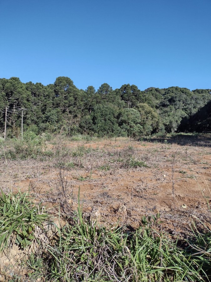 Fazenda, 6711 m² - Foto 4