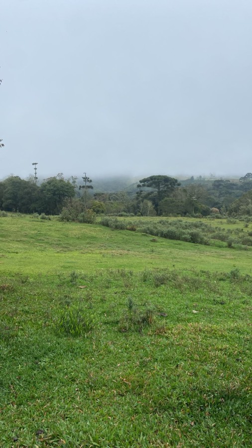 Fazenda, 2 hectares - Foto 4