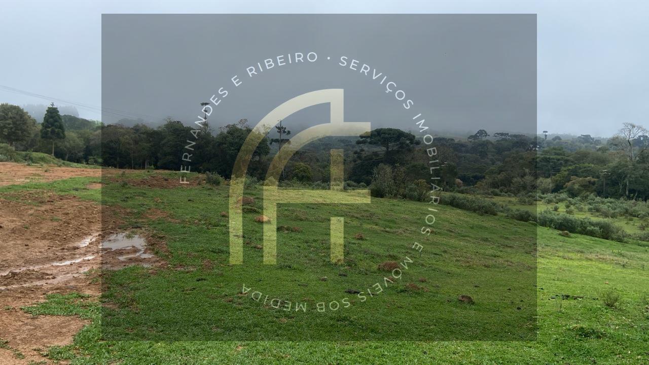 Fazenda, 2 hectares - Foto 3