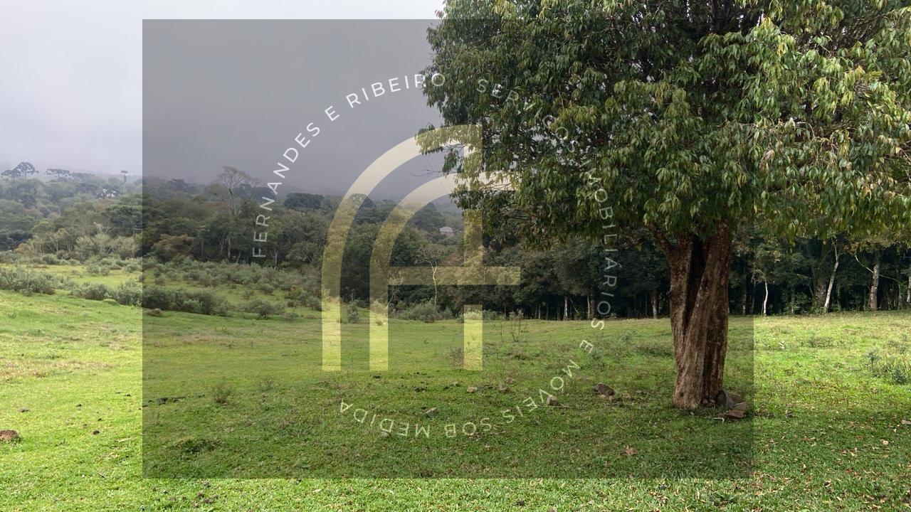 Fazenda, 2 hectares - Foto 1