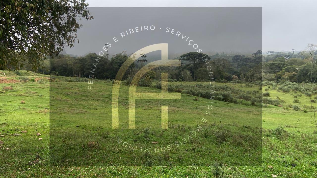 Fazenda, 2 hectares - Foto 6