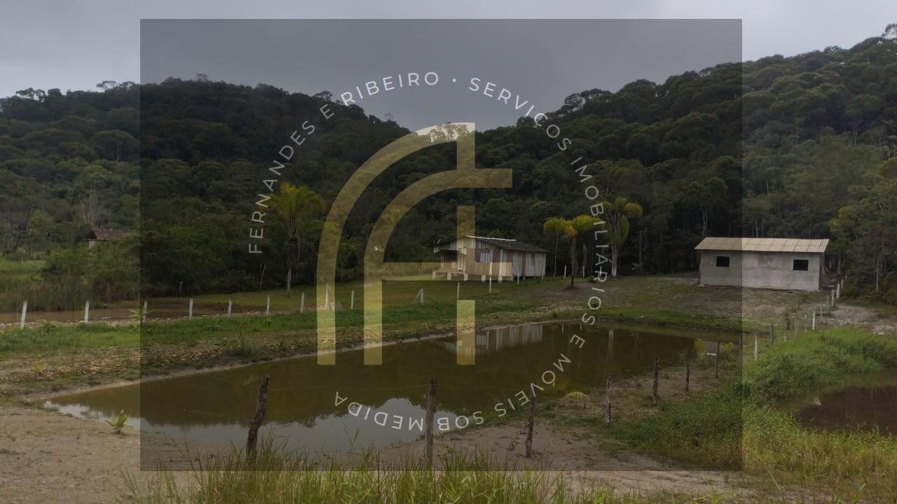 Chácara, 2 quartos, 4160 m² - Foto 2